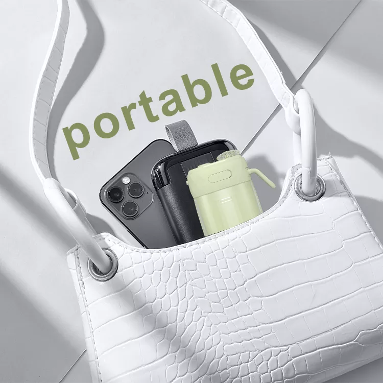 Mini Portable Cordless Water Flosser (3)